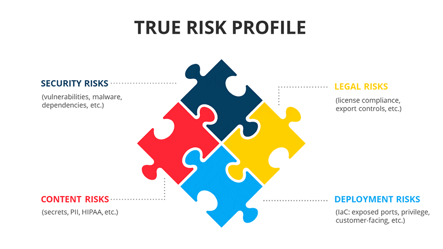 True Risk Profile