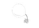 BOM Diggity Logo
